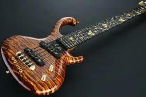Read more about the article Most Expensive Bass Guitar in the World – Top 8