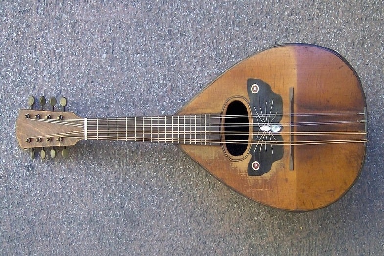 difference between mandolin and banjo