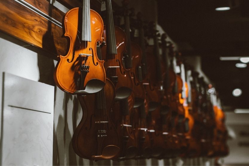types of violins