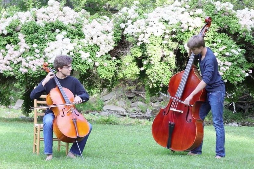 cello v bass