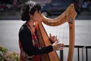 Read more about the article How Many Strings Does a Harp Have?