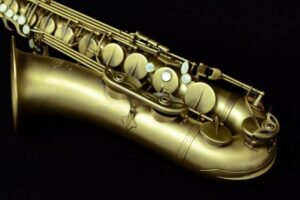 Read more about the article Selmer Reference 54 Tenor Saxophone Specs and Review