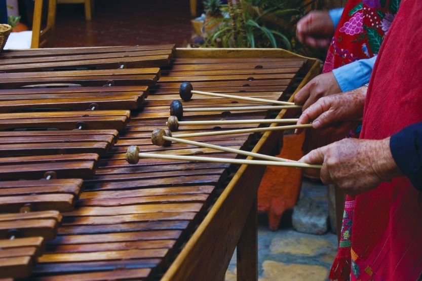 marimba vs xylophone
