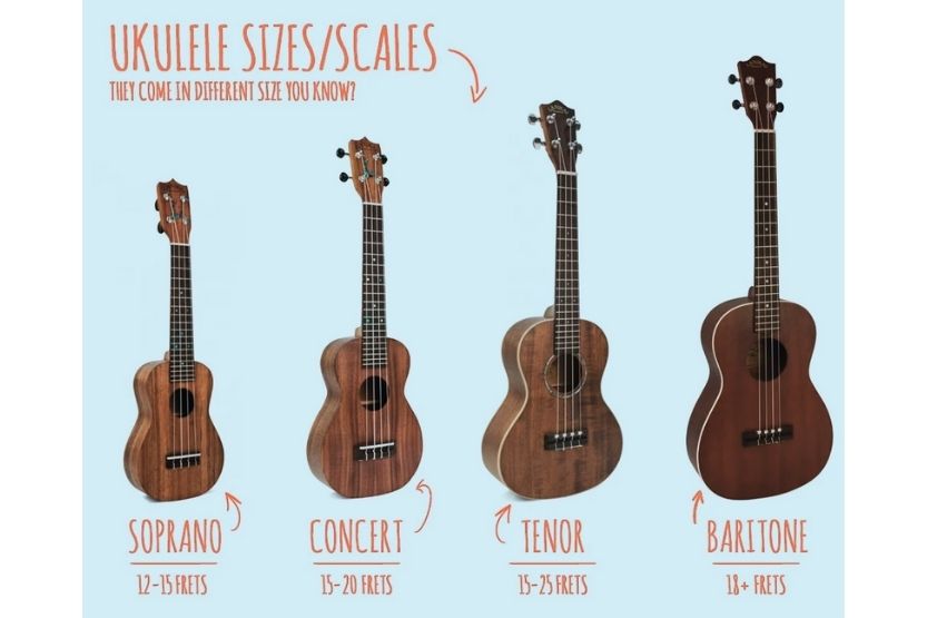 soprano vs concert ukulele for beginners