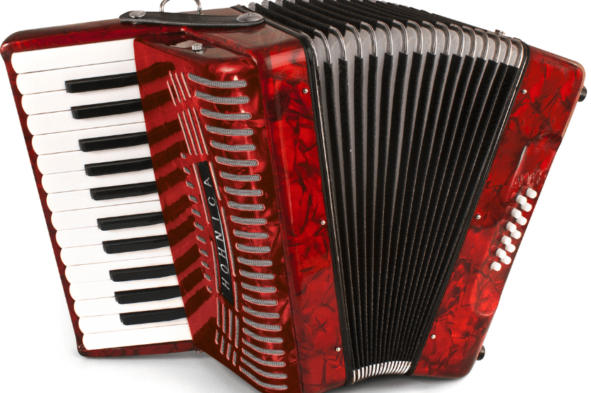 Best Accordion for Irish Music Top 5 Choices in 2023 Musical