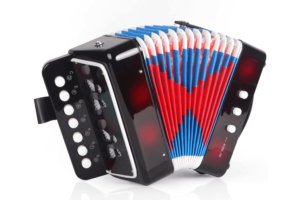 Read more about the article Best Accordion for Beginners: Top Picks and Buying Guide 2023