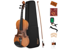 Read more about the article Best Acoustic Violin for Traditional Styles: Top Picks for 2023